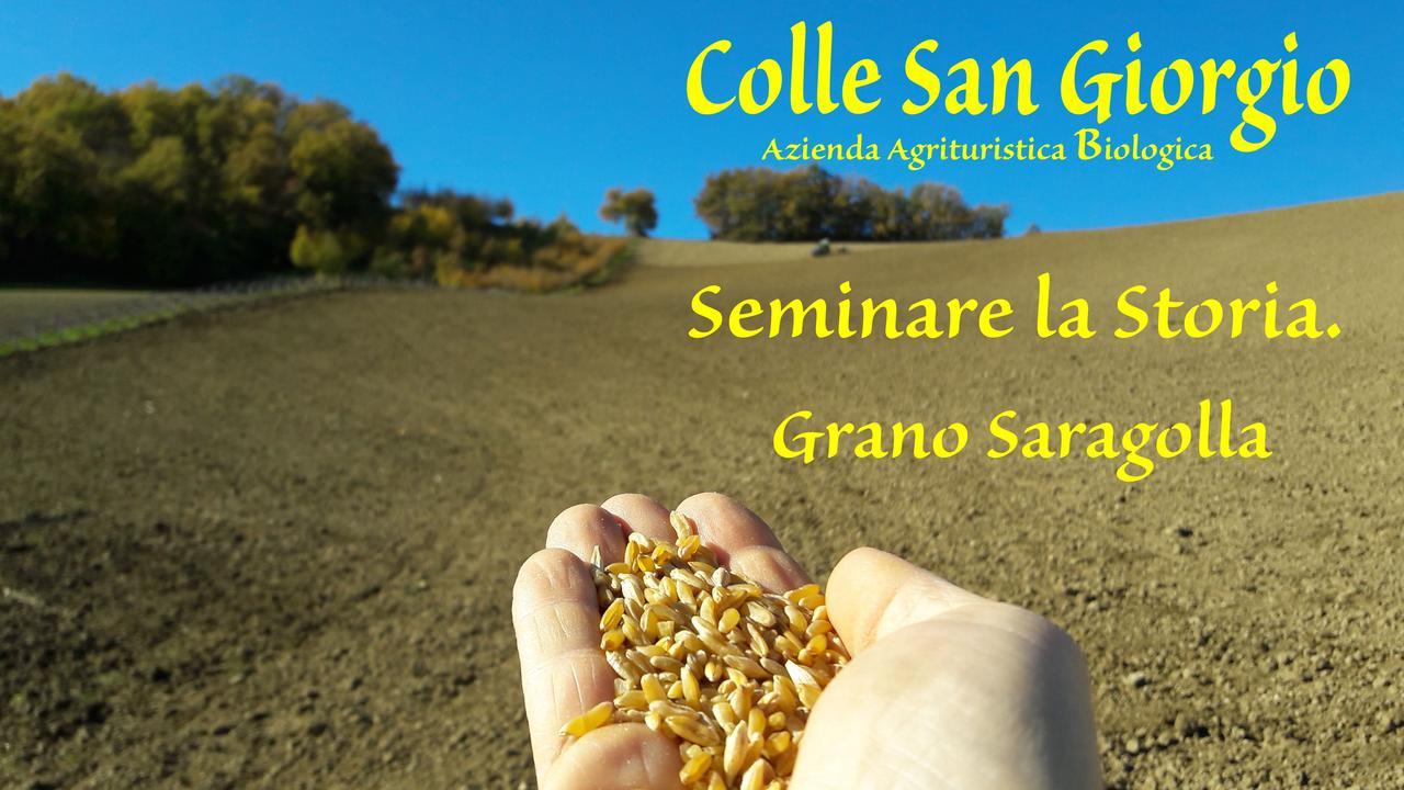 Azienda Agrituristica Colle San Giorgio Кастильоне-Мессер-Раймондо Экстерьер фото